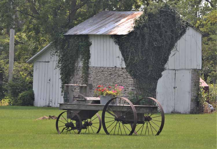 wagon in yard